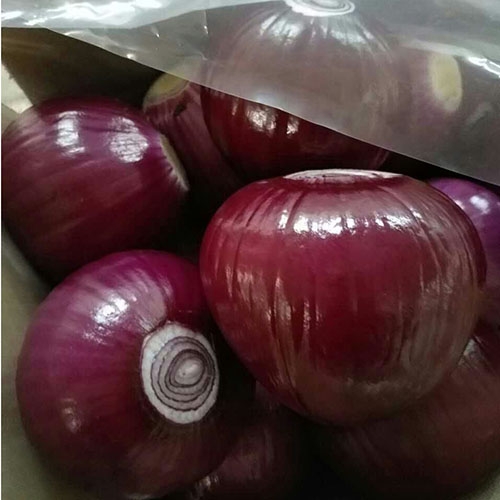 Peeled purple onion