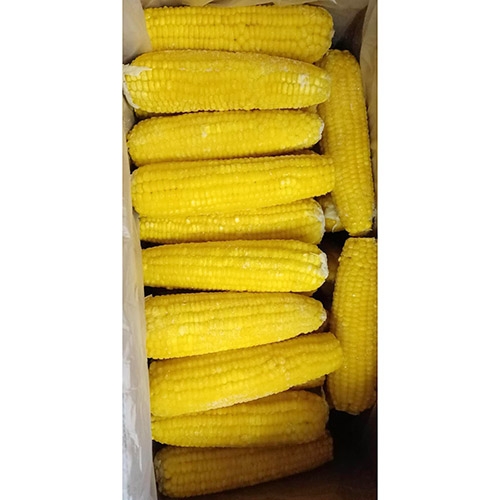 frozen boiled glutinous corn