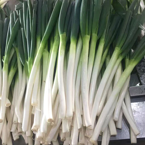  Chinese green onions