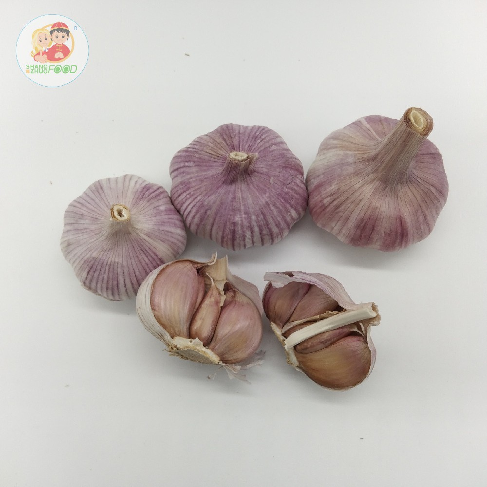 Fresh Garlic