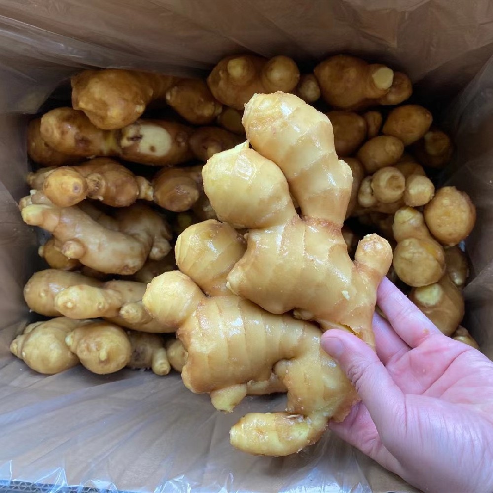 Fresh Ginger