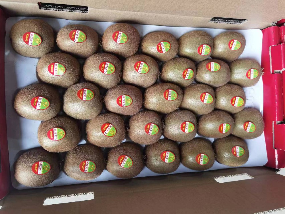 Fresh Kiwi